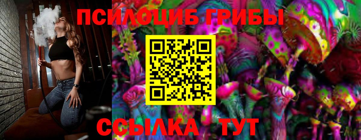 Псилоцибиновые грибы GOLDEN TEACHER Карачаевск