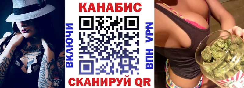 Марихуана сатива  где найти наркотики  Карачаевск 
